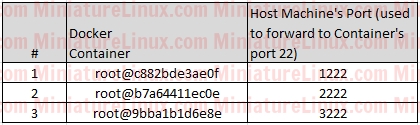 Docker-Containers-SSH-Reverse-Tunnel