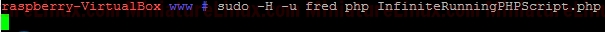 Run-PHP-Script-As-Another-User